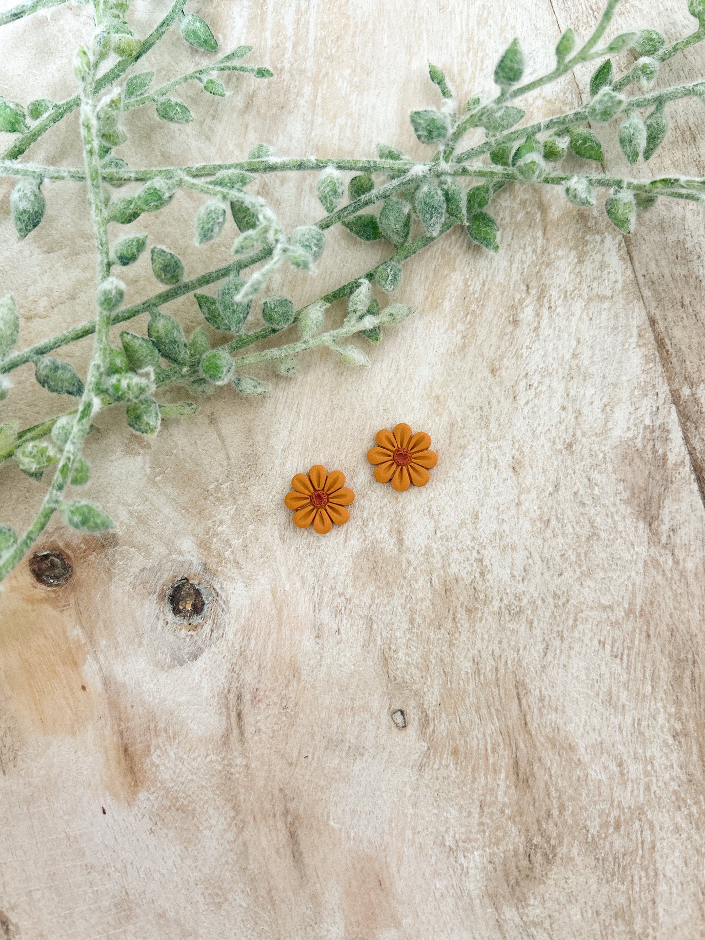 Western Daisy Studs