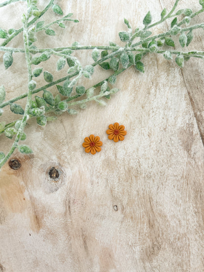 Western Daisy Studs